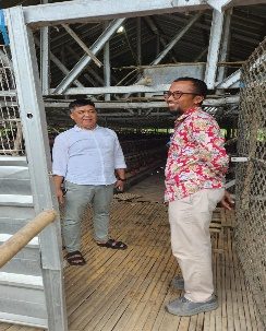Dukung Ketahanan Pangan, PT Krakatau Steel Group dan PJT II Serahkan Bantuan Ayam Petelur di Batukuwung